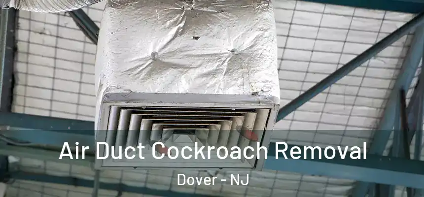  Air Duct Cockroach Removal Dover - NJ
