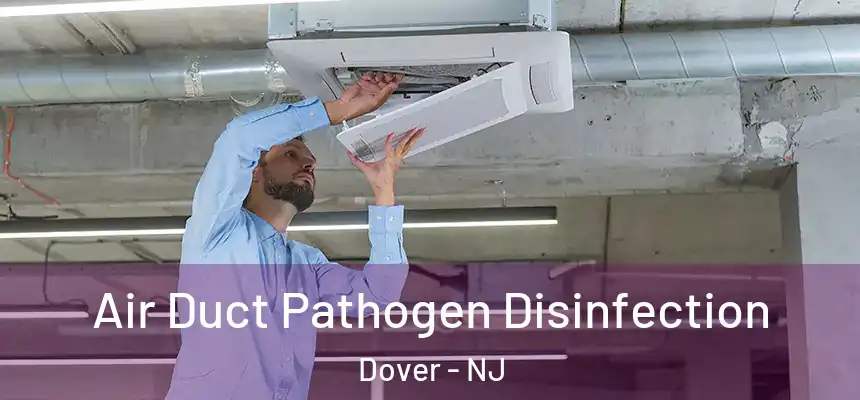  Air Duct Pathogen Disinfection Dover - NJ