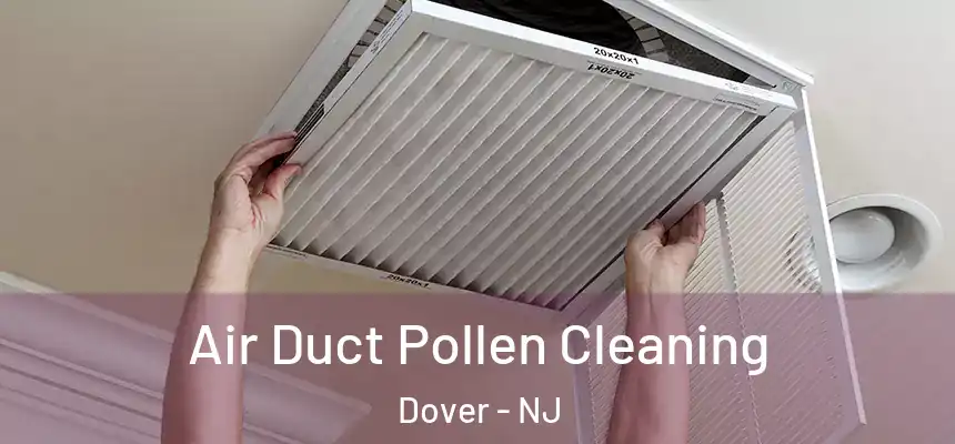  Air Duct Pollen Cleaning Dover - NJ