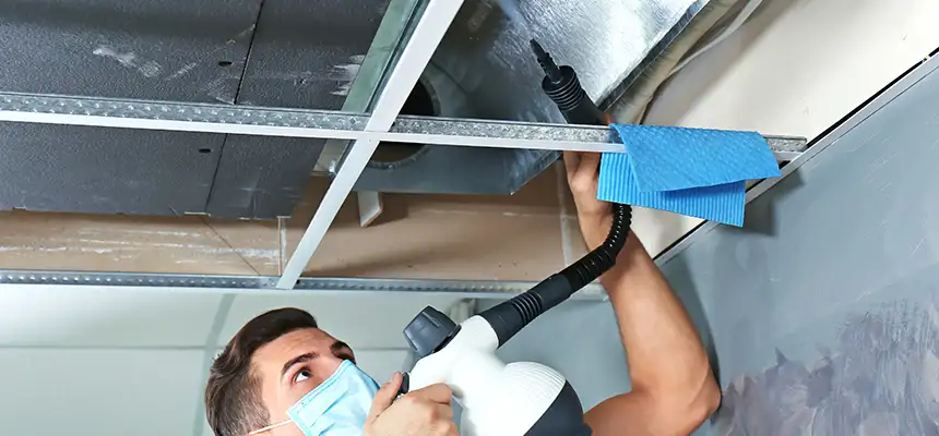 Our Air Duct Rodent Removal Services in Dover, NJ