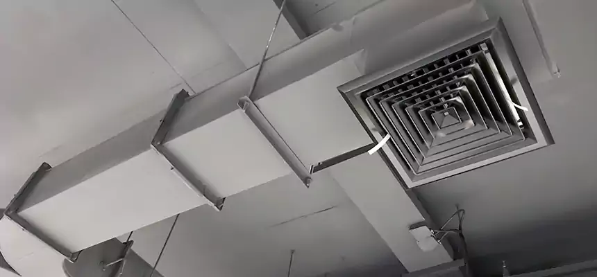 Restorative Allergy Relief Vent Cleaning – Coil, Blower & Housing Detail in Dover