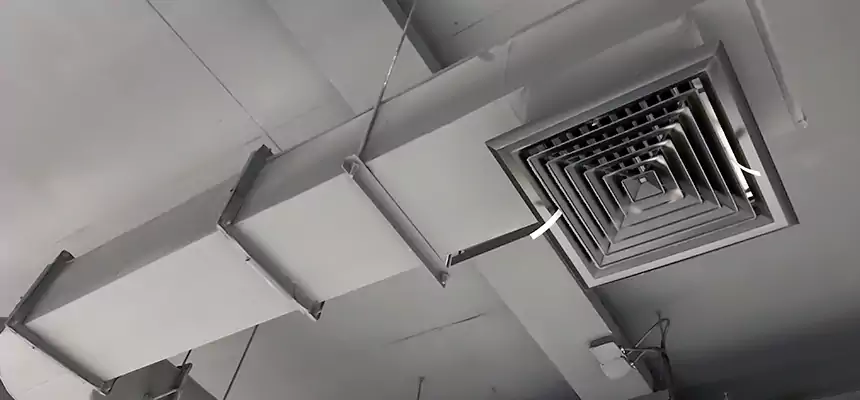 Our Pest Removal From Ducts Services in Dover, NJ