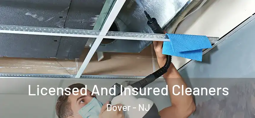  Licensed And Insured Cleaners Dover - NJ