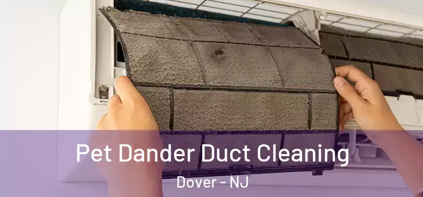  Pet Dander Duct Cleaning Dover - NJ
