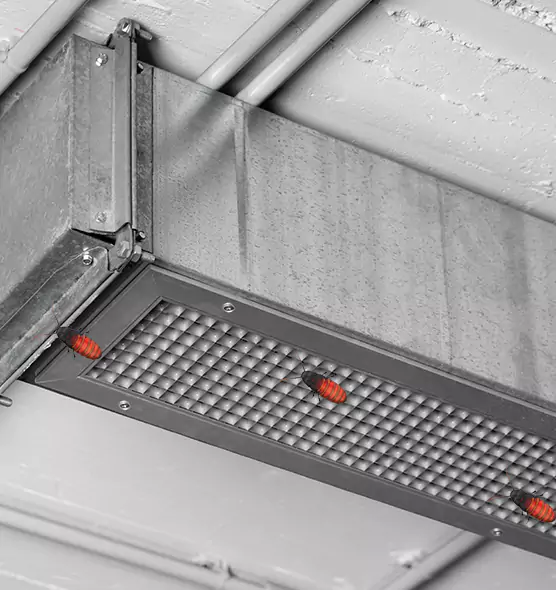 About Air Duct Cockroach Removal in Dover, NJ