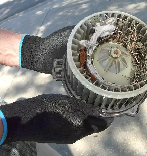 About Air Duct Mice Removal in Dover, NJ