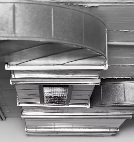 Professional Air Duct Pest Removal in Dover, NJ