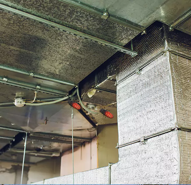 Why Homeowners & Businesses Trust Us in Dover, NJ?