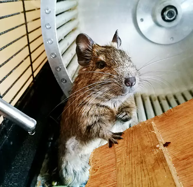 Why Homeowners & Businesses Trust Us Dover, NJ